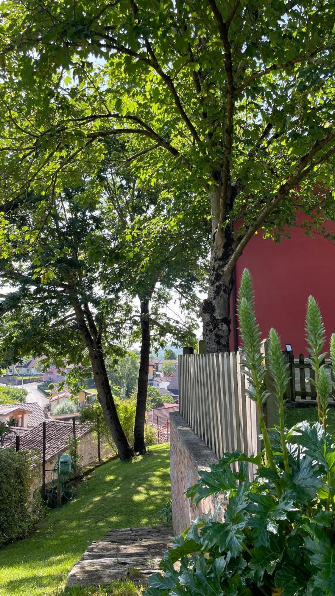 Apartamentos El Picoretu 考恩 外观 照片