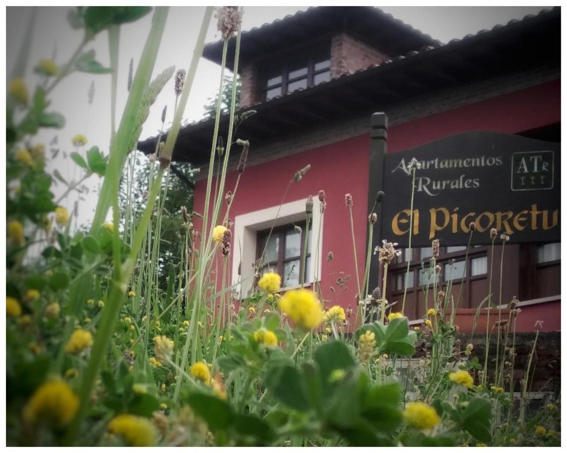 Apartamentos El Picoretu 考恩 外观 照片